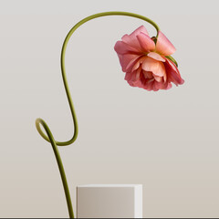 Cosmetic product presentation minimal background with beautiful flower and geometric podium 3d rendering