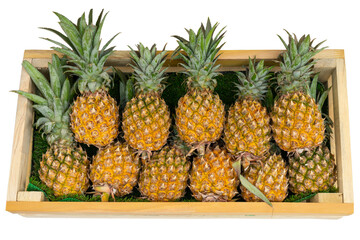 Top view of pineapples fruits in a wood crate isolated on white background. 