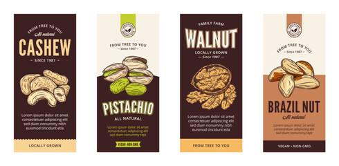 Vector various nut labels in modern style. Vector nut illustrations