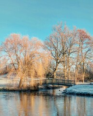Vertical shot of a small bridge above the river with leafless trees on the shore.