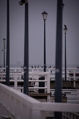 bridge in the city