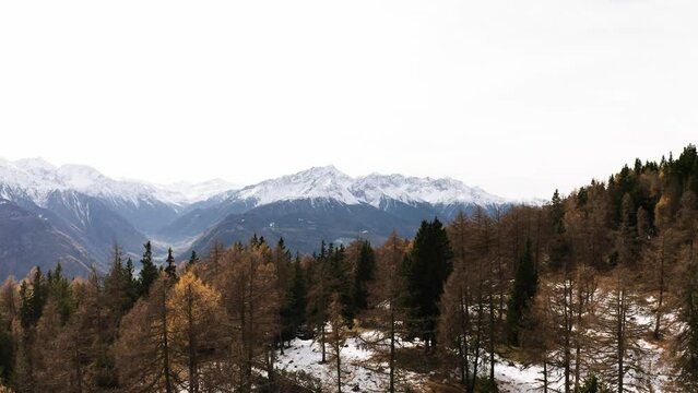 Beautiful view of a high and peaky mountain with snow on top in the background of a forest in autumn
