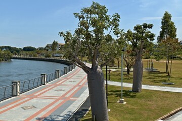 View on Taman Mahkota Jubli Emas public park and Sungai Kedayan river in Bandar Seri Begawan, the...