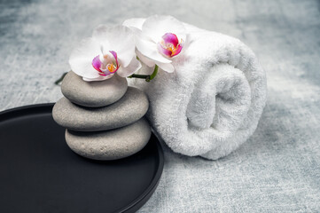 Fototapeta na wymiar Spa decoration with gorgeous orchid flowers in white and cyclamen, spa stones and rolled towel on textured background