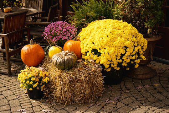 Closeup shot of colorful flowers and pumpkins decorating the entrance of a street cafe