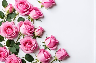 Decorative web banner featuring a close-up of blooming pink roses and petals on a white table. Top view of a floral frame composition with empty space.