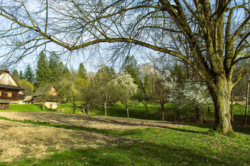 Nature and fields in the spring time illuminated by sunlight. In the background hills with forests and old wooden houses. Historic wooden town