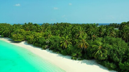 Aerial view of sea surrounded by growing trees in Maldives