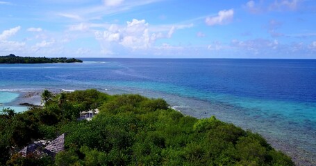 Obraz premium Beautiful view of an ocean with trees in the foreground