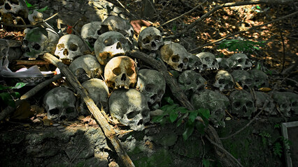 Many green human skulls and bones lying on the ground in the forest, covered in moss in an old abandoned cemetery