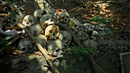 Many green human skulls and bones lying on the ground in the forest, covered in moss in an old abandoned cemetery