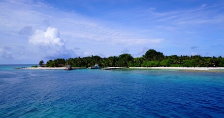 Trees on a sandy beach by the ocean
