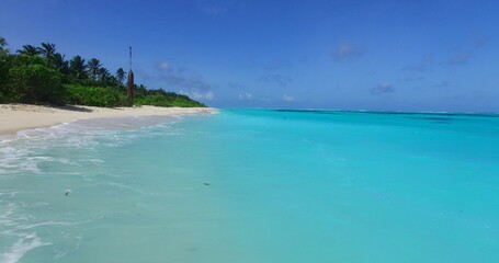 Trees on a sandy beach by the ocean