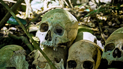 Many green human skulls and bones lying on the ground in the forest, covered in moss in an old abandoned cemetery