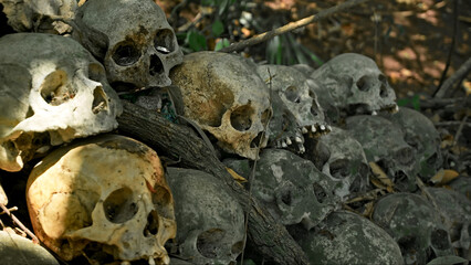 Many green human skulls and bones lying on the ground in the forest, covered in moss in an old abandoned cemetery