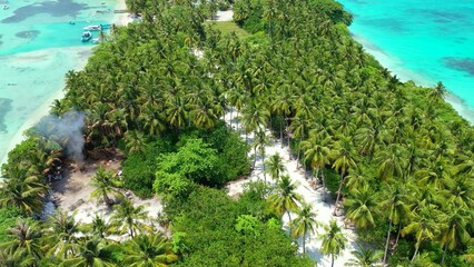 Aerial drone shot of an untouched island with palm trees in the Maldives