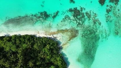 Gordijnen Aerial view of trees on a sandy beach by ocean © Wirestock