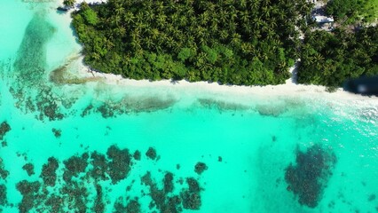 Aerial shot above green tropical trees by tranquil water island of Dhigurah, Maldives