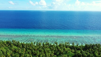 Landscape scene of forest green trees by tranquil water under a blue sky