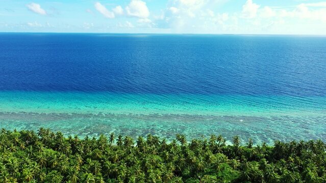 Landscape scene of forest green trees by tranquil water under a blue sky