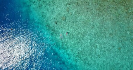 Overhead shot of the couple swimming in the clear blue waters on the ocean somewhere in Asia