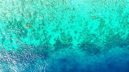 Overhead shot of the clear waters of the ocean and the corals under it somewhere in Asia