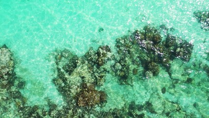 Aerial view of a beautiful beach landscape with turquoise water in The Maldives