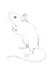 Line art mouse