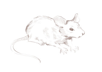 Line art mouse