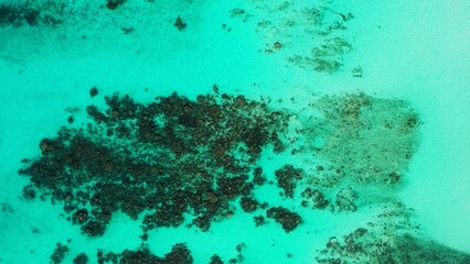 Seascape of coral reefs under tranquil water in the sea