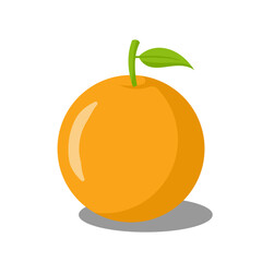 Summer fruits for healthy lifestyle. Orange fruit, Vector illustration cartoon flat icon isolated on white.
