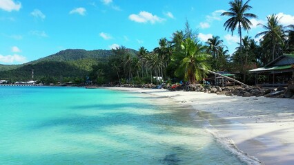 Palm trees and rocks on sandy beach by turquoise ocean