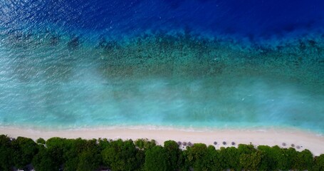 Aerial view of a beach with trees and turquoise water in the Maldives