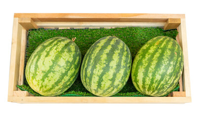 Top view of watermelon fruits in a wood crate isolated on white background. Fresh fruit market.