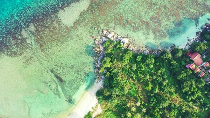 Aerial top view of turquoise water with coral reef and a coast with greenery in the Maldives