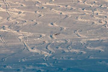 Scie sulla Neve