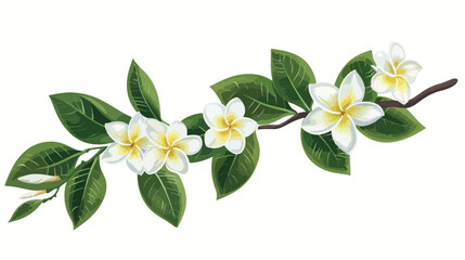 Frangipani branches adorned by a flower Flat vector illustration