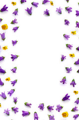 Frame of violet-blue bell flowers ( bellflower), blue and yellow flowers viola tricolor ( pansy ) on a white background with space for text. Top view, flat lay