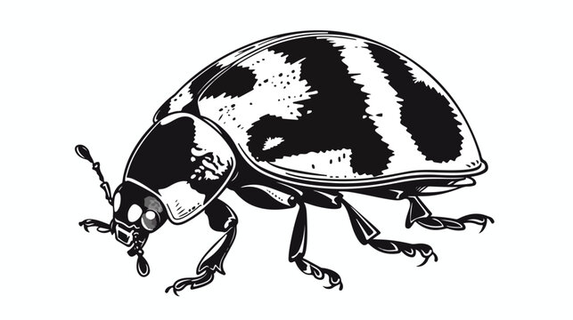 Freehand drawn black and white cartoon ladybug Flat vector
