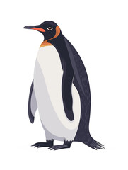 penguin isolated on white transparent background. PNG format
