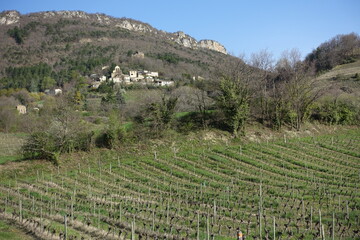Paysage de la Drôme - 785183836