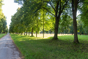 Fototapeta na wymiar footpath in the park