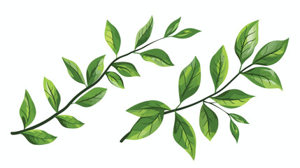 Green branch leaf nature and botanical icon Flat vector