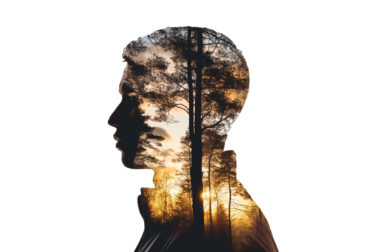 Double exposure of man and forest isolated on transparent background. The concept of the unity of nature and man.