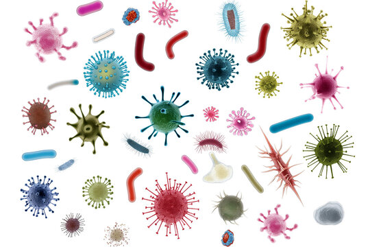 Virus, bacteria, and germs isolated on a white background