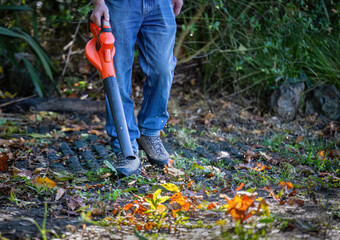 Man cleaning fallen autumn leaves using a leaf blower in the backyard. Leaves flying in the air. Auckland. - 785191023