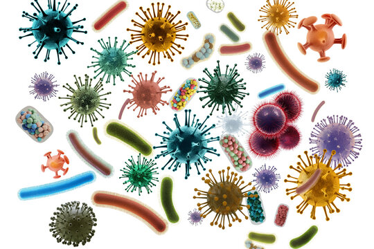 Individual Germ Germs Isolated On White Images – Browse 59,856 Stock Photos, Vectors ...