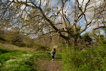 Fototapeta premium Randonneurs sur un sentier en Bretagne - France