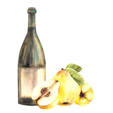 wine bottle and quince watercolor painting clip art preview