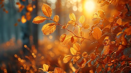 Golden sunlight through amber foliage, forest scene, close-up, high-angle, serene autumn dusk  - obrazy, fototapety, plakaty